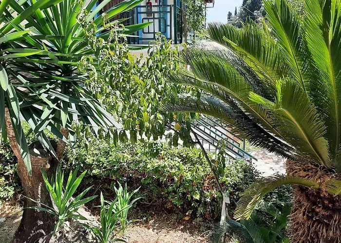Alluring In With Shared Pool * בניטסס