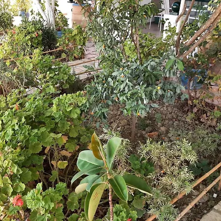 Alluring In With Shared Pool