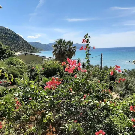 Alluring In With Shared Pool * Benitses (Corfu)